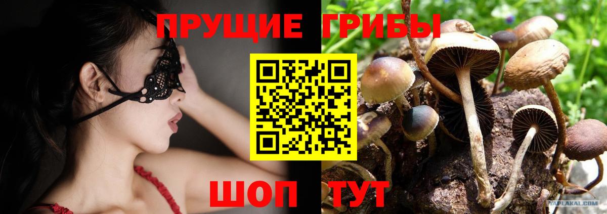 Железноводск  Псилоцибиновые грибы MAGIC MUSHROOMS  Вход с VPN 